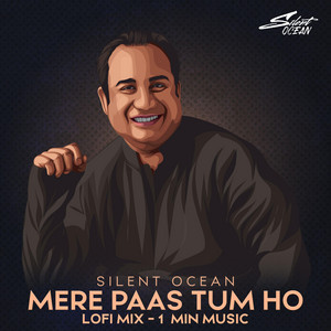 Mere Paas Tum Ho album cover